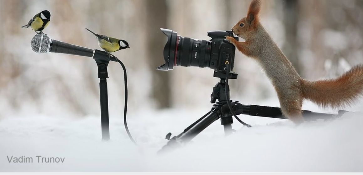 La “entrevista” fotográfica de Vadim Trunov sobre la vida en el bosque (+ Fotos)